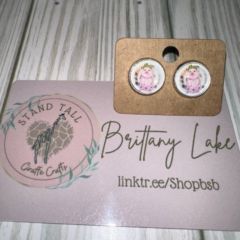 Farm life pig 12mm round earring set new